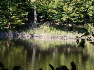 image190